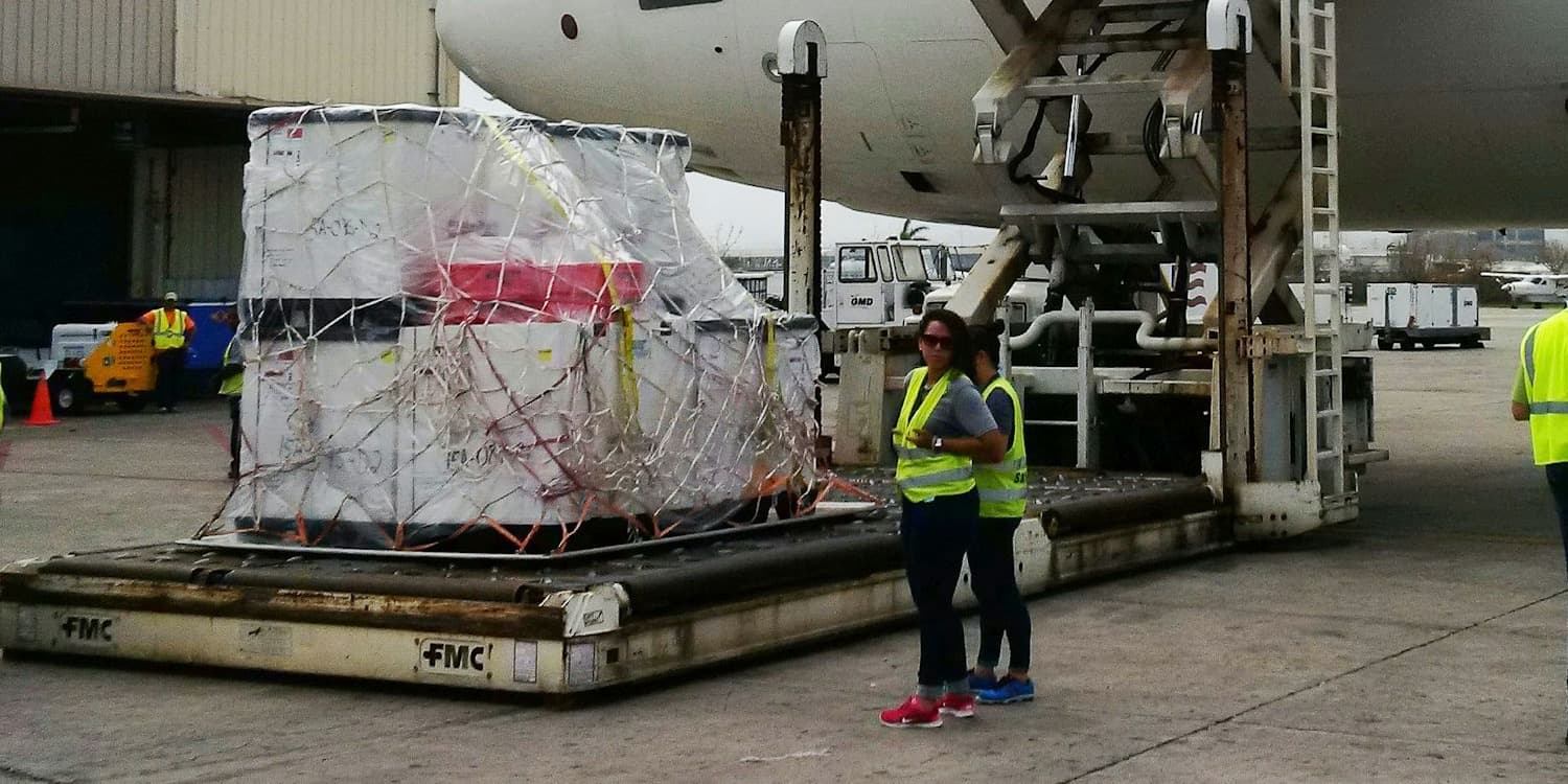 Załadunek palety lotniczej do samolotu cargo na płycie lotniska