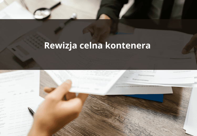 Rewizja celna kontenera