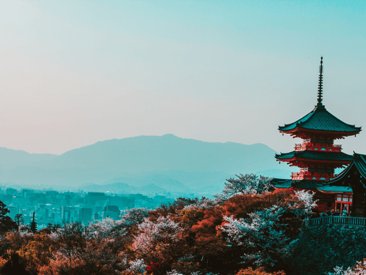 Sea and air freight from Japan / imports from Japan