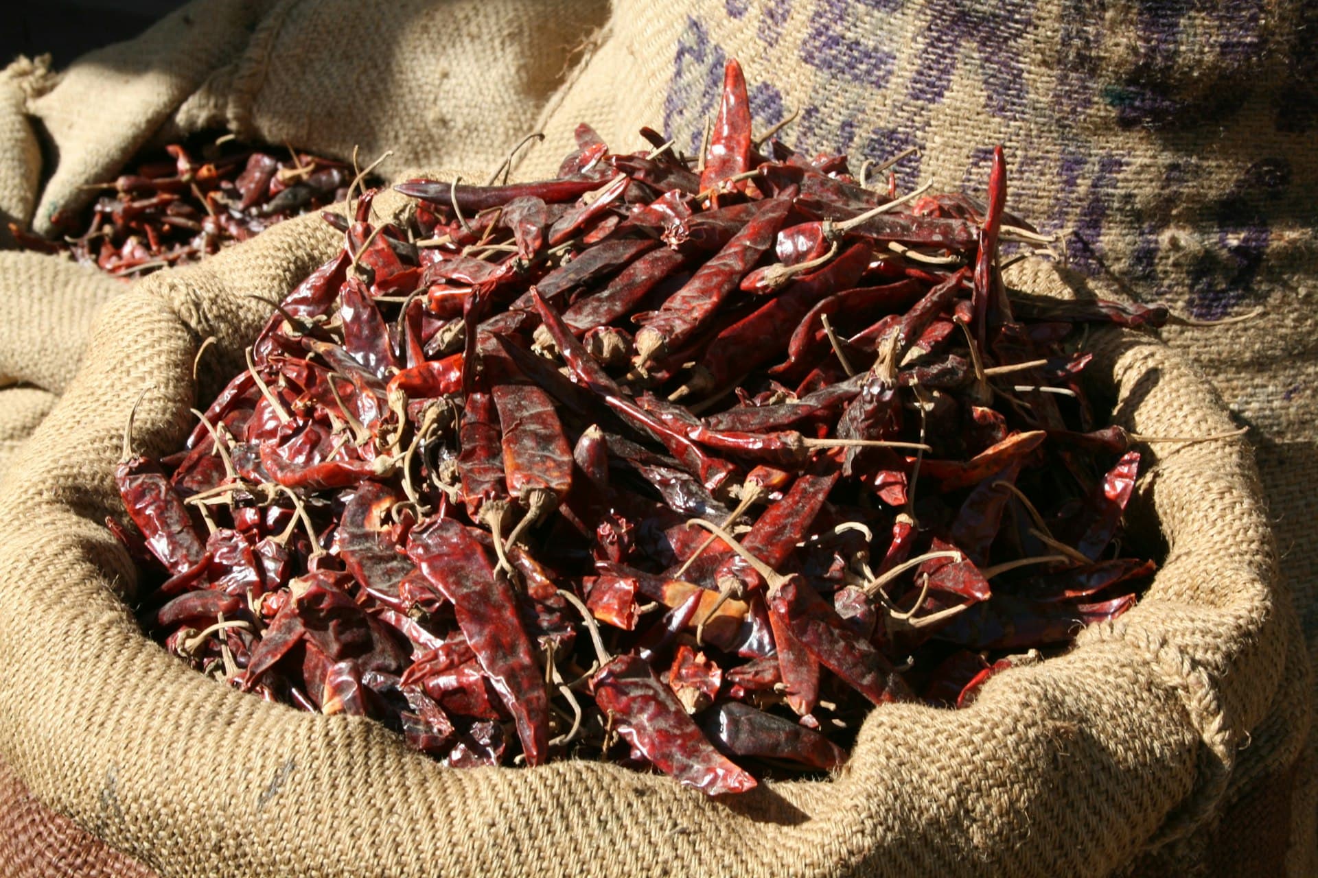 Jutový pytel sušených chilli papriček na trhu v Madurai – koření vyvážené z Indie